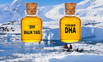 DHA Oranı Yüksek Balık Yağı Ne İfade Etmektedir?