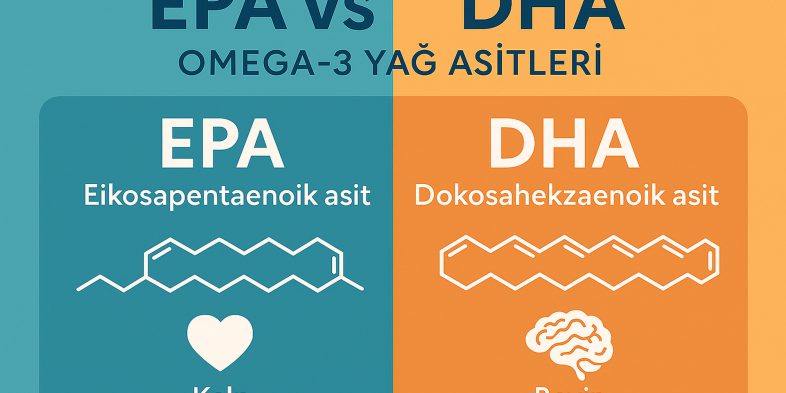 DHA mı, EPA mı Daha Önemli?