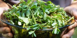 ALA Nedir? Bitkisel Omega-3 Nedir?