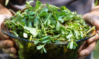 ALA Nedir? Bitkisel Omega-3 Nedir?