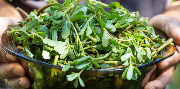 ALA Nedir? Bitkisel Omega-3 Nedir?